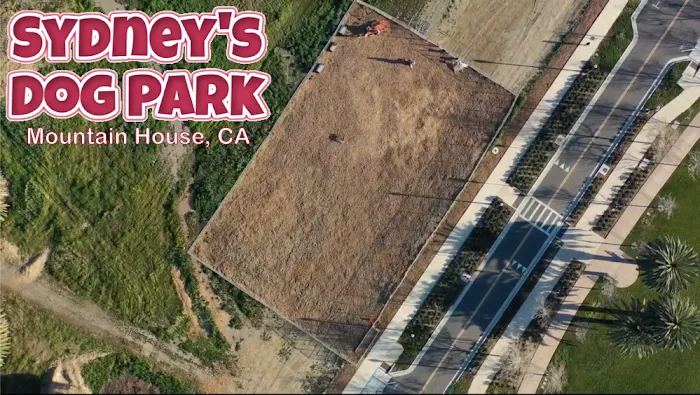 Sydney's Dog Park in Mountain House 7