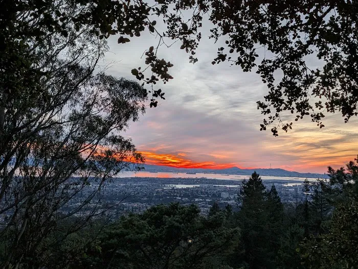 Joaquin Miller Dog Park 4