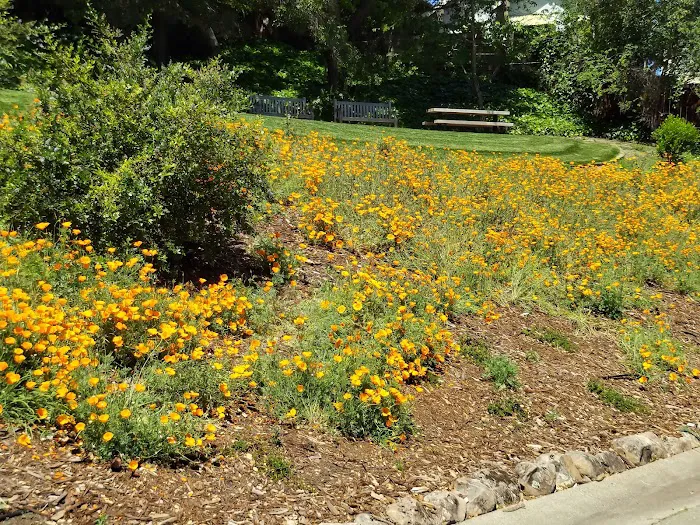 Linda Ave Dog Park 6
