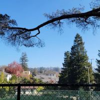 Linda Ave Dog Park ico