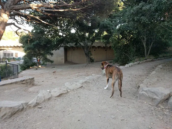 Linda Ave Dog Park 9