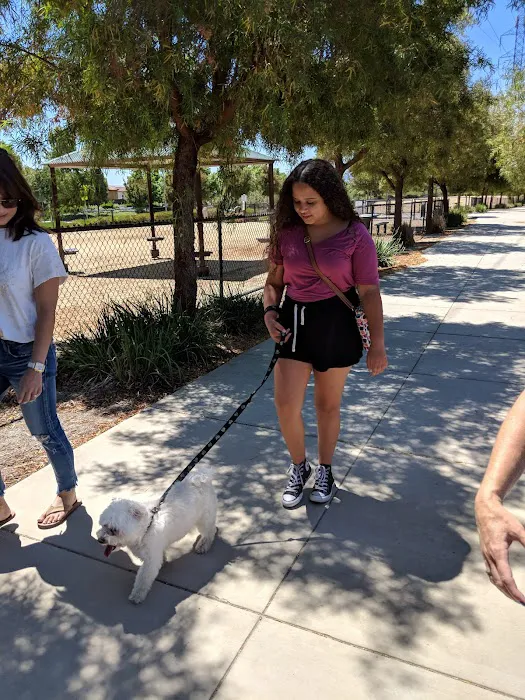 Bark & Ride 10