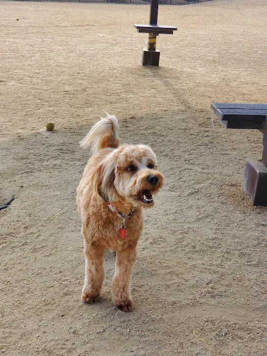 Bark & Ride 9