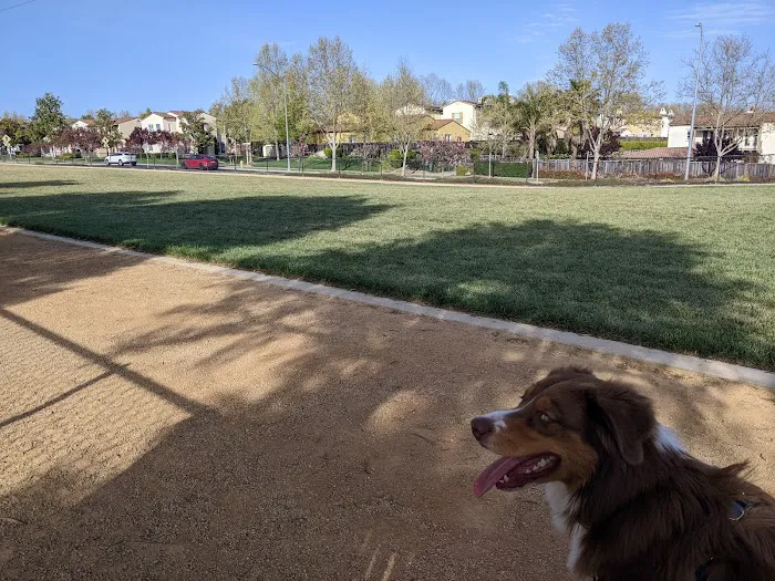 Bark & Ride 5