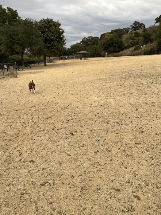 Bollinger Dog Run 2