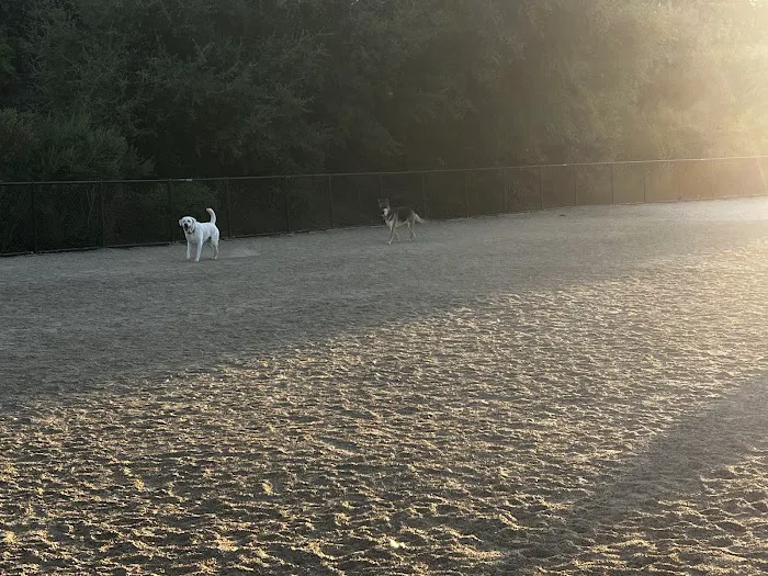 Bollinger Dog Run 5