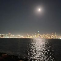 Treasure Island Dog Park ico