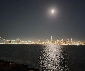 Treasure Island Dog Park