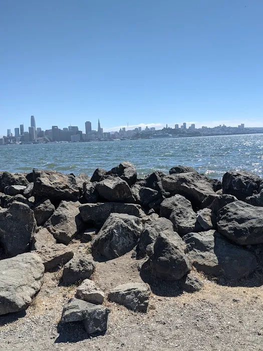 Treasure Island Dog Park 9