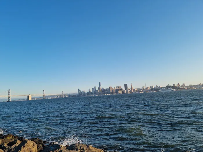 Treasure Island Dog Park 2