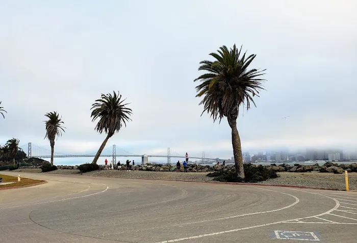 Treasure Island Dog Park 7
