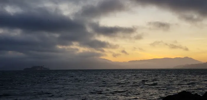 Treasure Island Dog Park 6