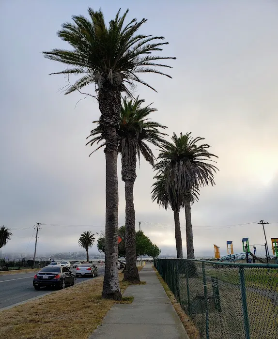 Treasure Island Dog Park 5