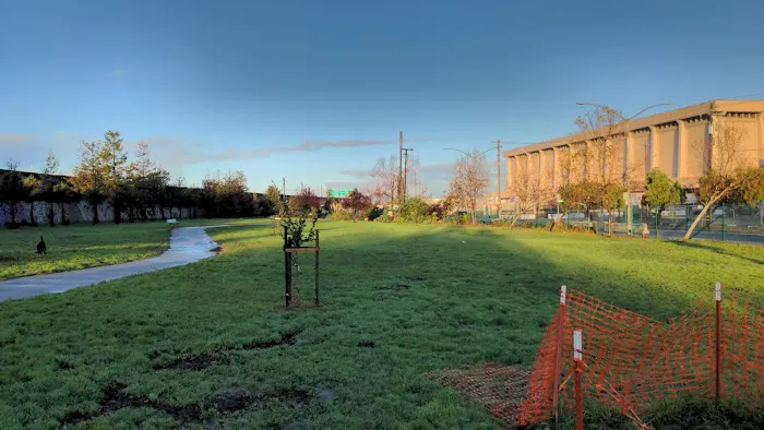 Lower Bottoms Park 8