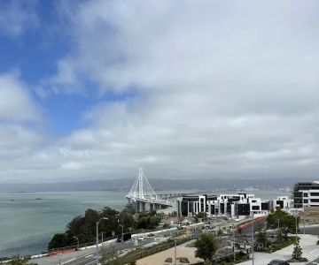 The Rocks Dog Park Yerba Buena Island