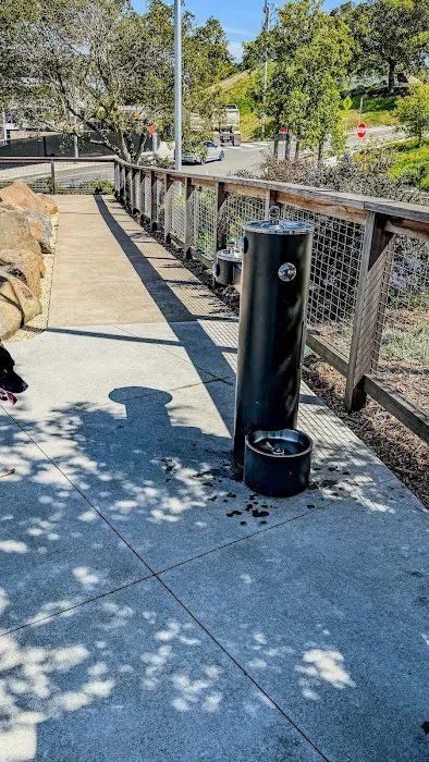 The Rocks Dog Park Yerba Buena Island 2