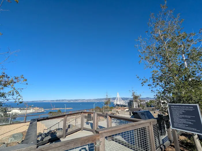 The Rocks Dog Park Yerba Buena Island 9
