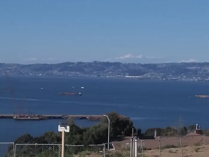 The Rocks Dog Park Yerba Buena Island 8