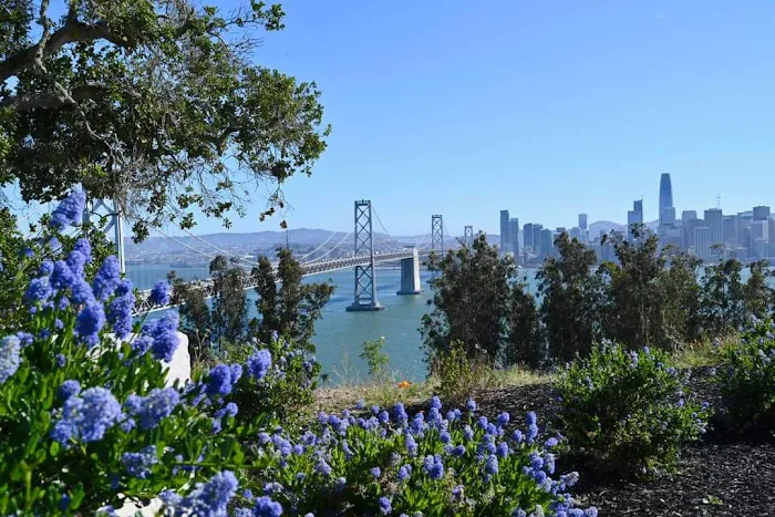 The Rocks Dog Park Yerba Buena Island 6