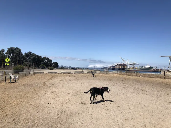 Main Street Dog Park 1