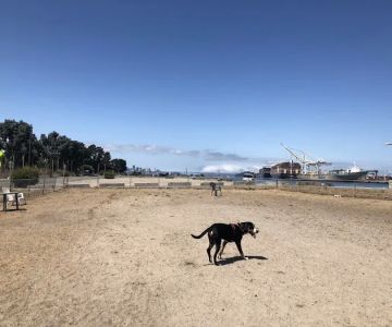 Main Street Dog Park