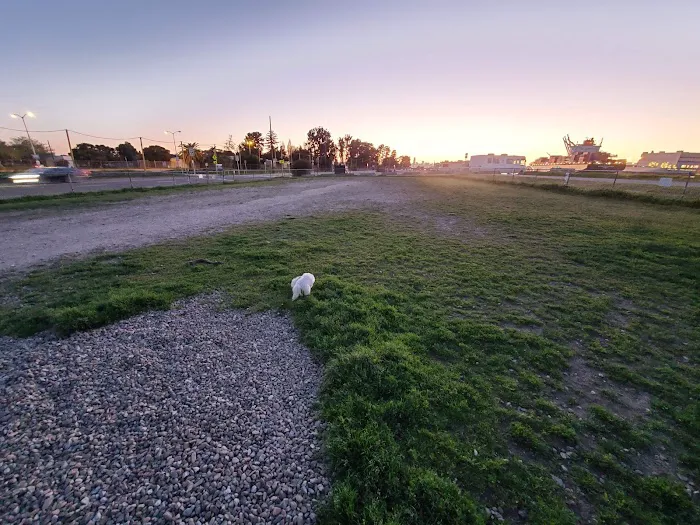 Main Street Dog Park 8