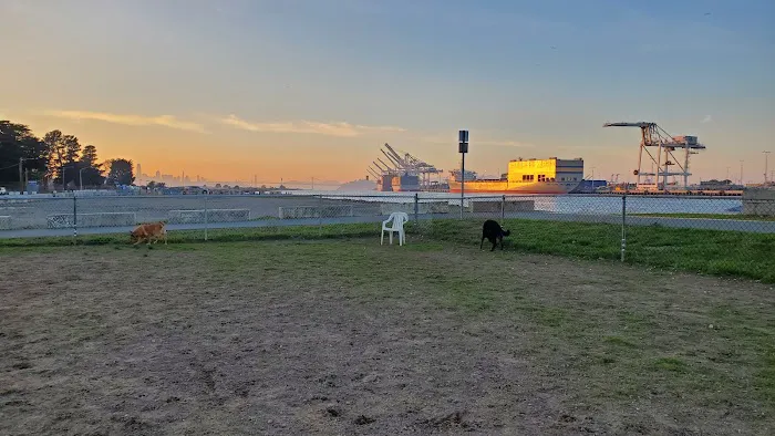 Main Street Dog Park 3