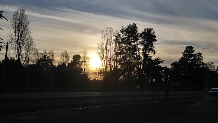 Main Street Dog Park 5