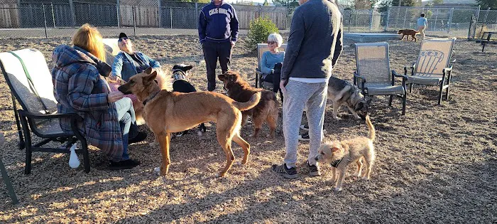 Del Mar Dog Park (Off-leash, open dawn-dusk) 3