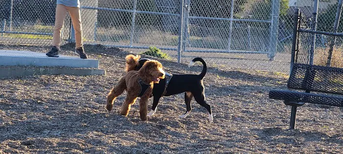 Del Mar Dog Park (Off-leash, open dawn-dusk) 9