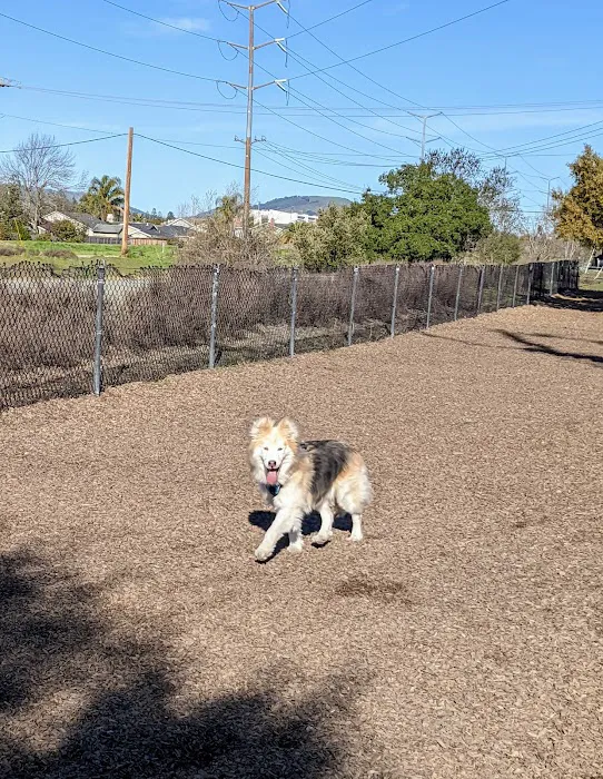 Del Mar Dog Park (Off-leash, open dawn-dusk) 7