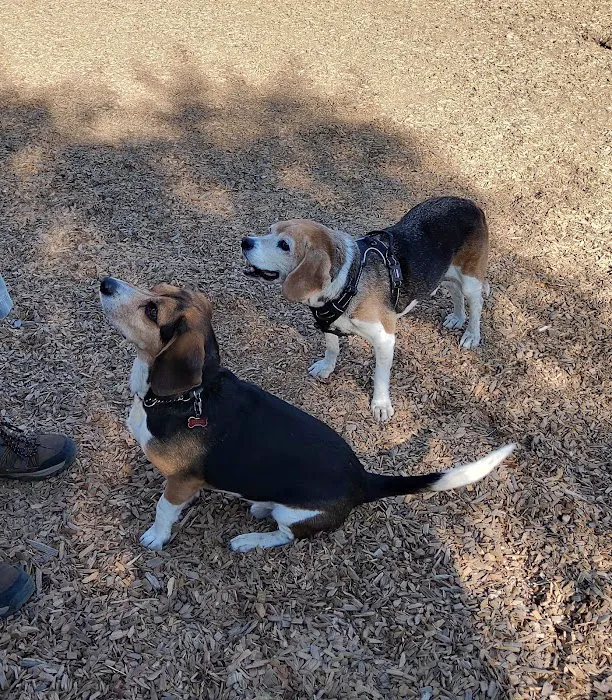Del Mar Dog Park (Off-leash, open dawn-dusk) 6