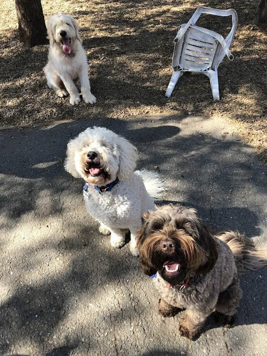 Del Mar Dog Park (Off-leash, open dawn-dusk) 4