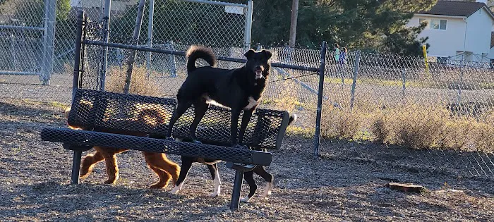 Del Mar Dog Park (Off-leash, open dawn-dusk) 5