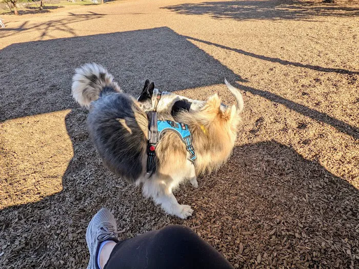 Del Mar Dog Park (Off-leash, open dawn-dusk) 8