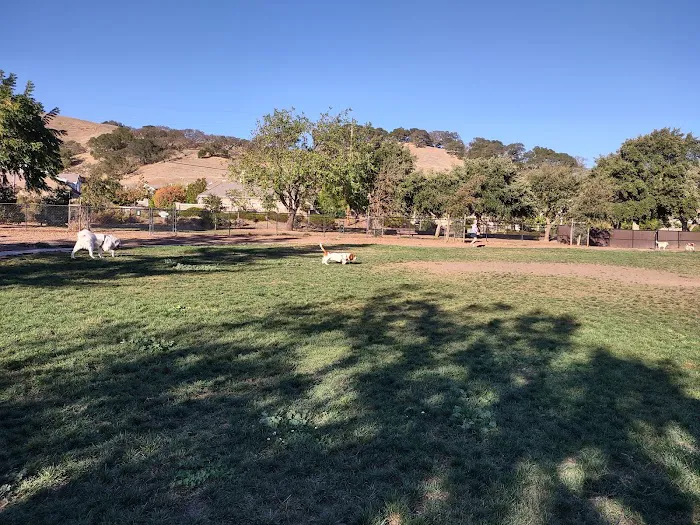 Dogbone Meadow 2