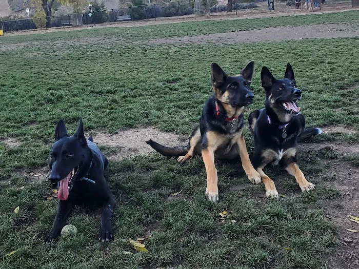 Dogbone Meadow 4