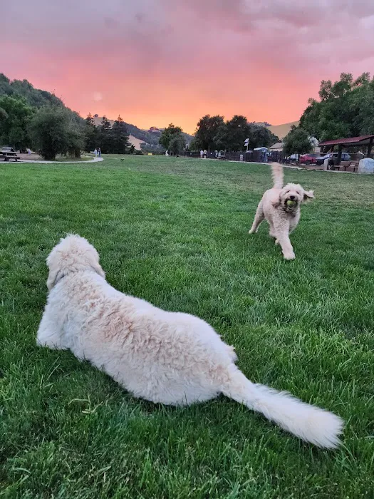 Dogbone Meadow 1