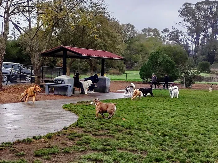 Dogbone Meadow 3