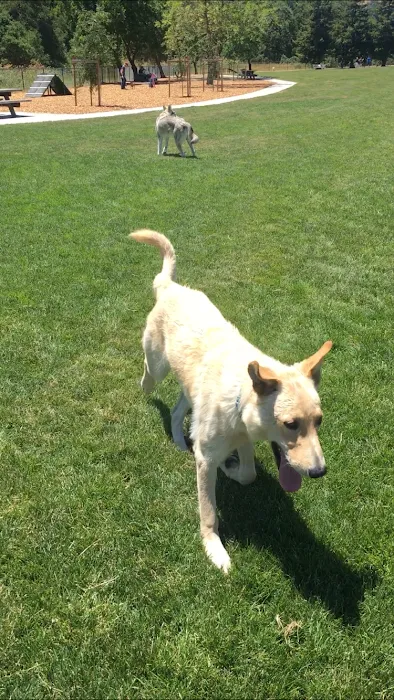 Dogbone Meadow 9