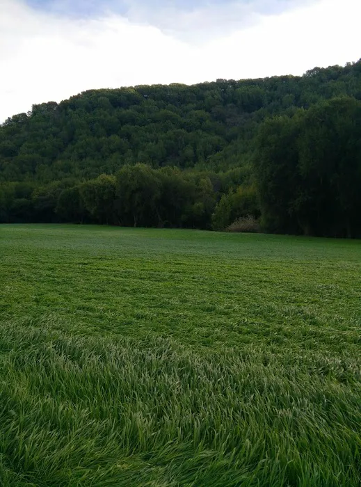 Dogbone Meadow 6