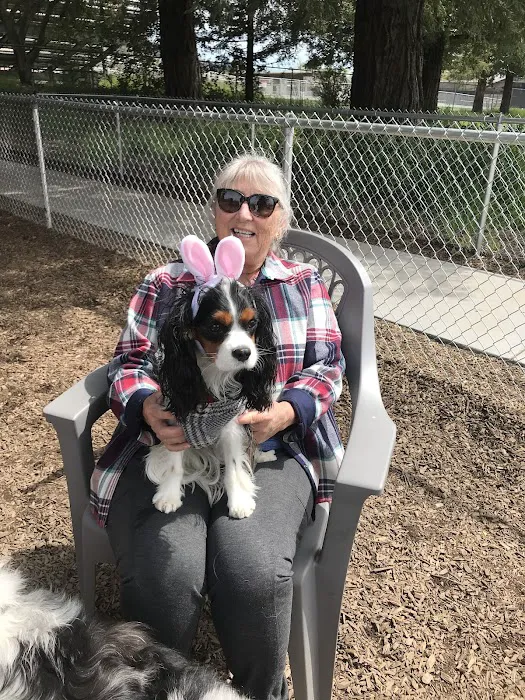 Rincon Valley Community Dog Park 9