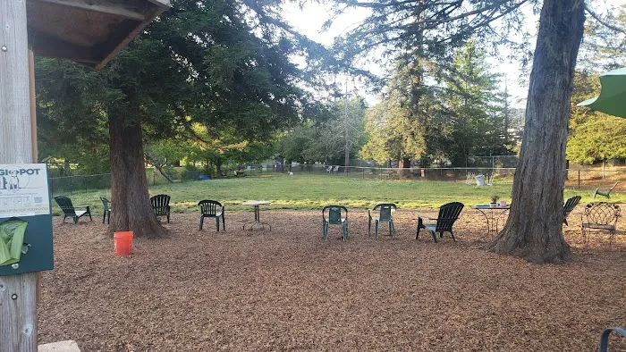Rincon Valley Community Dog Park 10