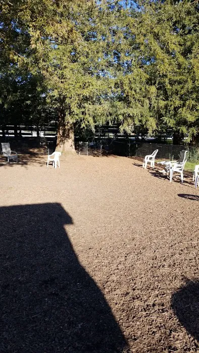 Rincon Valley Community Dog Park 7