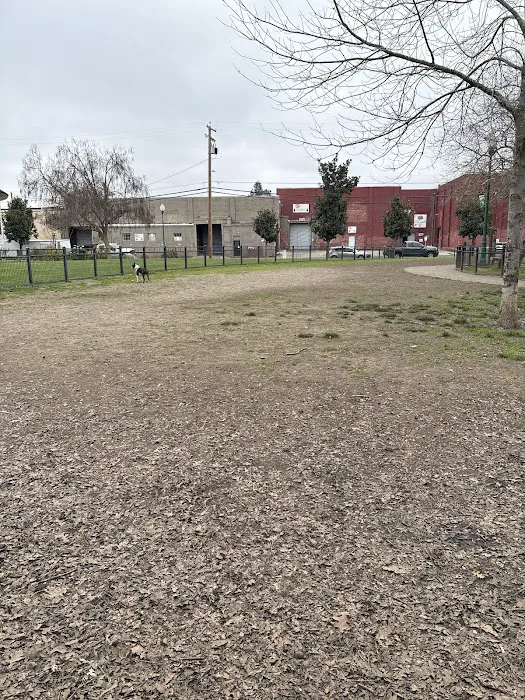 De Turk Park 8