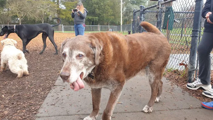 Hilliard Comstock Northwest Community Dog Park 1