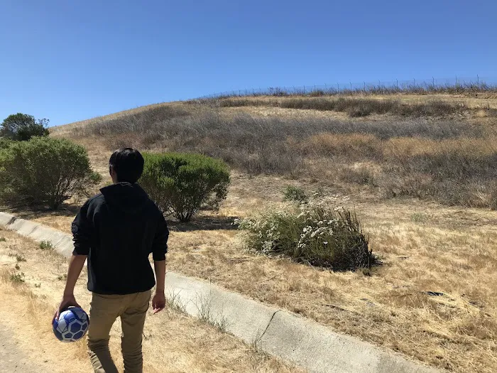 Windemere Dog Park 1