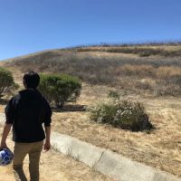 Windemere Dog Park ico