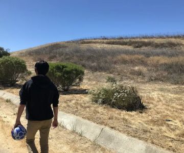 Windemere Dog Park
