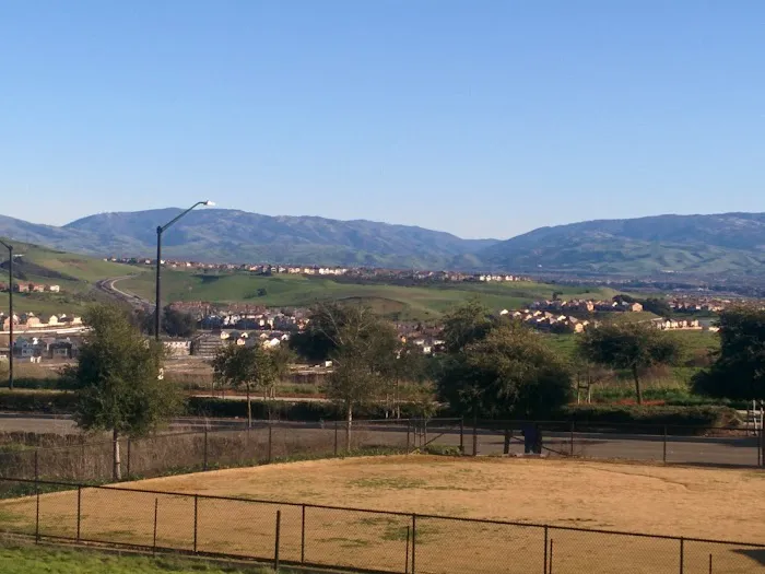 Windemere Dog Park 8